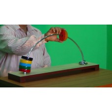 SUPINATOR AND PRONATOR (RAINBOW TYPE)